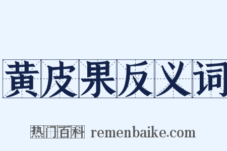 黄皮果反义词是什么意思的图片
